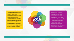 Catnova